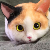 个性女包动物毛绒包包女创意可爱日本小猫咪喵星人斜挎单肩手提包