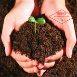 多肉植物种植土、君子兰种花育苗种菜通用全能营养土