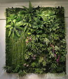仿真植物墙绿化墙苔藓背景墙青苔人造仿真草坪绿化墙花墙定制墙饰