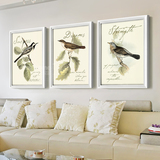 美式乡村简约现代小鸟装饰画有框实木挂画客厅沙发背景墙壁画精品