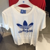 3月香港正品Adidas三叶草女款简约LOGO休闲短袖T恤AJ8114/AJ8349