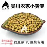黄豆500克吴川自产非转基因农家自种小黄豆纯天然可发豆芽浆包邮