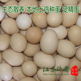 土鸡草鸡种蛋 柴鸡种蛋 黑土鸡种蛋 本地土鸡种蛋 可孵化受精种蛋
