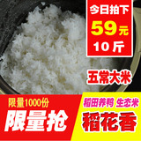 2015东北大米5kg农家自产黑龙江五常大米稻花香新米非转基因10斤