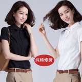 纯棉短袖衬衫女2016夏季新款韩版白色OL半袖衬衣修身职业工装上衣