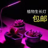 USB led植物生长灯室内仿太阳光补光灯全光谱花卉多肉植物红蓝灯