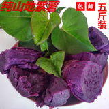 山东特产现挖新鲜生紫薯 有机红薯 紫番薯紫地瓜 山芋农家自种5斤