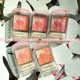 日本代购CANMAKE 花瓣腮红 花瓣雕刻五色珠光粉嫩腮红 带刷