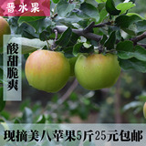 新鲜水果 青苹果 特产 酸青果6月应季时令 苹果水果 特价5斤包邮