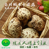 四川土特产青川花菇 干货农家特产椴木蘑菇 野生香菇花菇200g