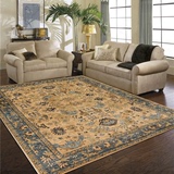 土耳其进口地毯客厅简约现代欧式沙发茶几欧美式复古奢华家用地毯