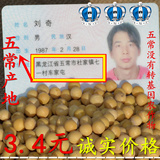 2015新东北/五常非转基因大豆/有机土黄豆/豆浆豆芽/小粒38元包邮