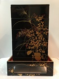 日本 蒔绘 漆器 五层漆器盒 双盖带原托 内配二组隔断 附共箱二个