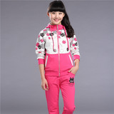 女大童春秋新款套装青少年韩版儿童运动两件套学生衣服女童拉链衫