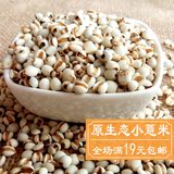 小薏米250g 农家自产优质薏苡仁红豆米类粮油杂粮土特产特价批发