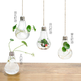创意悬挂灯泡透明玻璃水培花瓶小吊瓶欧式绿植花器幼儿园装饰批发
