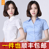 职业衬衫女短袖夏季韩版修身显瘦学生面试V领半袖寸衫OL白色衬衣
