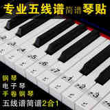 88键61键通用 透明钢琴键盘贴纸 电子琴琴贴五线谱简谱键位贴