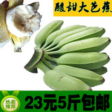 新鲜水果芭蕉海南香蕉Plantain大蕉酸甜芭蕉广东特产包邮5斤