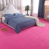 加厚可水洗丝毛地毯客厅茶几地毯卧室房间满铺床边长方形飘窗地毯