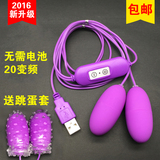 12充电变频USB双跳蛋女用无线静音强力震动高潮自慰器情趣性用品