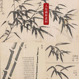 清代书画家蒋和写竹子叶子枝干基本画法 国画竹子珍贵绘画素材