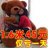 毛绒玩具熊泰迪熊公仔抱枕布娃娃大号抱抱熊儿童生日礼物女玩具熊