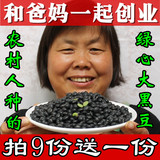 新货 农家自产 绿芯心 大黑豆 杂粮 青仁黑豆子 有机五谷粗粮250g