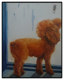 宠物油画定制纯手工手绘布面狗狗画像猫咪画像