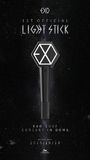 【现货】EXO官方1ST Light Stick应援灯手灯爱丽棒荧光棒 黑色