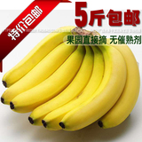香蕉水果广西南宁青香蕉5斤新鲜优质精品水果有机无公害农家直供