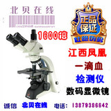 江西凤凰生物显微镜PH100-3A41L-A双目TV光学1600倍专业高倍医用