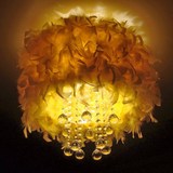 浪漫/创意简约现代K9水晶卧室温馨灯具优质精选优质羽毛灯吸顶灯