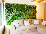 定制高档仿真花绿化墙仿真立体植物墙橱窗室内绿植墙挂画壁画壁挂