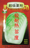 超级夏阳种子 极耐热38度 抗热大白菜 高于日本进口夏阳产量 3克