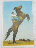 集邮类热门收藏品五十年代老旧人物风景明信片1张驯马图极限片