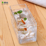清沁 桌面透明玻璃花瓶 长方形花瓶 水培水养植物容器 也可做鱼缸