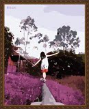 数字油画diy正品包邮 风景花卉手绘装饰画 紫色记忆40*50/60*75
