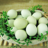 【维康庄园】绿壳有机乌鸡蛋和七彩野鸡蛋试吃装 各10枚