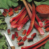 维多利亚大黄种子 食用大黄 Rhubarb 蔬菜种子 沙拉甜品特菜种子