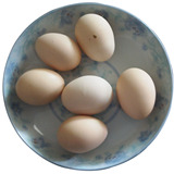 井冈山特产 白凤乌鸡蛋 黑凤乌鸡种蛋泰和乌鸡种蛋原种受精蛋20个