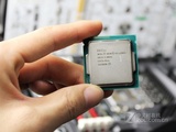 INTEL 服务器CPU  E3 1231 V3  1150架构  高性能 节能