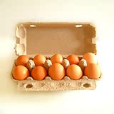 疯抢畅销10只鸡蛋托 户外野餐鸡蛋盒 十枚装 防震防摔 厂家批发