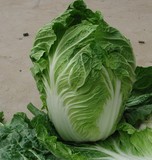 自家种 有机大白菜 新鲜 绿色蔬菜 时令 无公害蔬菜 白菜5斤包邮