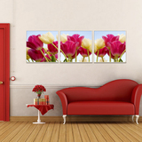 现代欧式壁画无框画客厅挂画装饰画沙发墙画三联画-郁金香系列