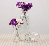 特价透明小玻璃插花瓶 zakka简约现代水培透明瓶 咖啡店花艺瓶