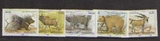 D9067，塔吉克斯坦 野生动物：棕熊、马鹿、雪豹邮票5全