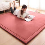 定制欧式房间绒小地毯客厅卧室满铺长条形吸尘爬行垫B0D