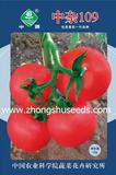 中杂109 粉果番茄种子 10克/袋 大果型 厚皮 中国农科院