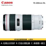 最新15年 Canon/佳能 70-200mm f/4L USM镜头 小小白EF 70-200 4L
